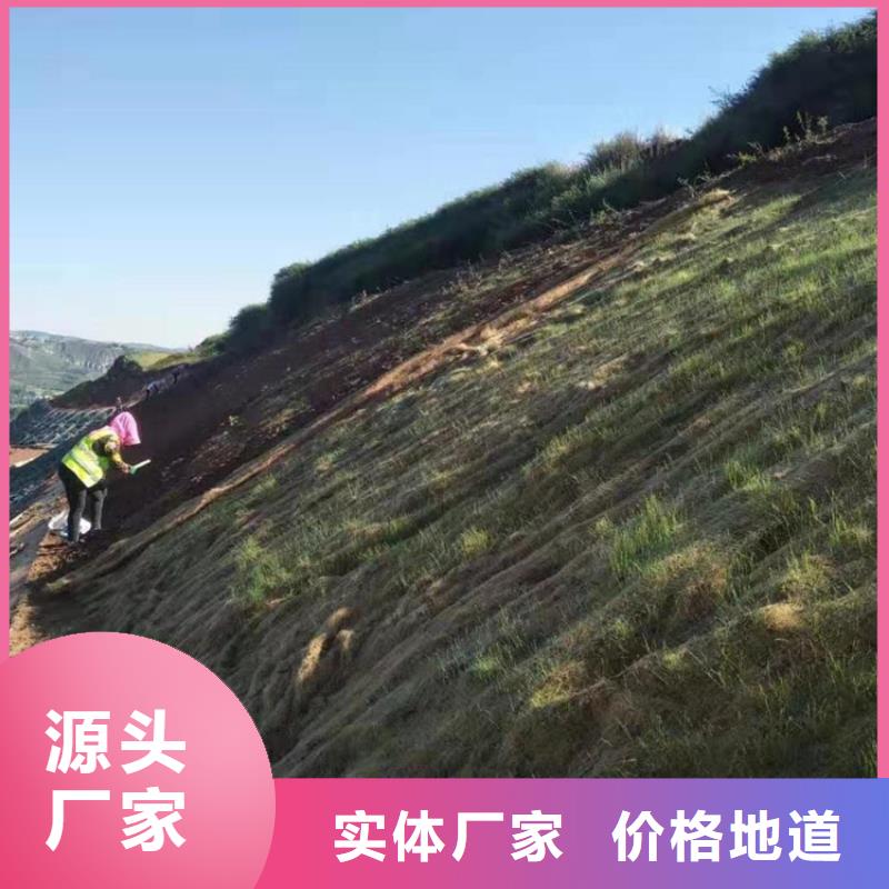 椰丝毯防渗膜多年行业积累