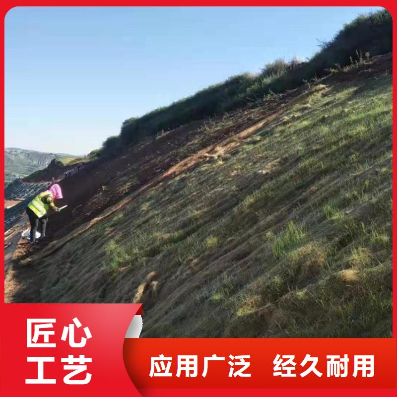 椰絲毯復合土工膜產(chǎn)品細節(jié)參數(shù)