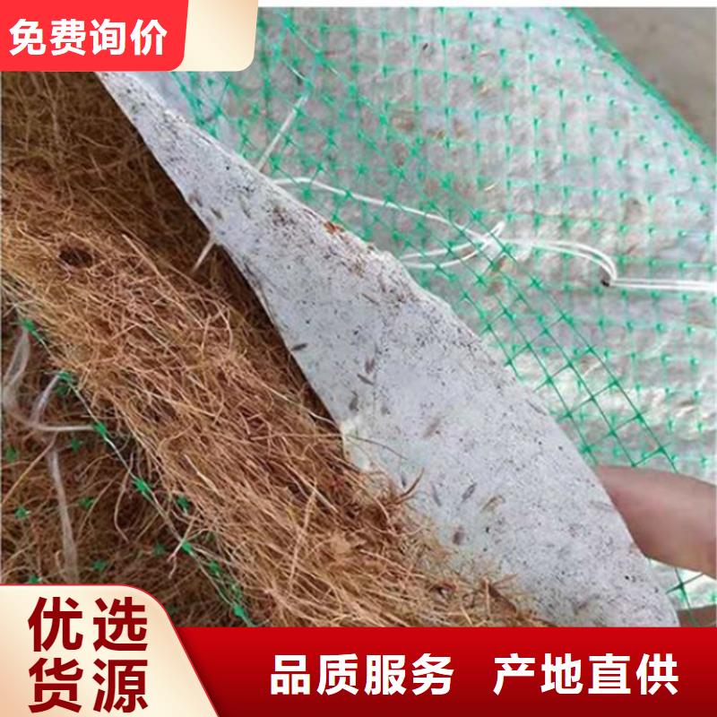 椰丝毯_土工席专业生产厂家