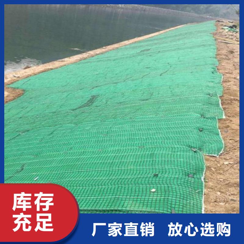 椰絲毯土工格柵現(xiàn)貨供應