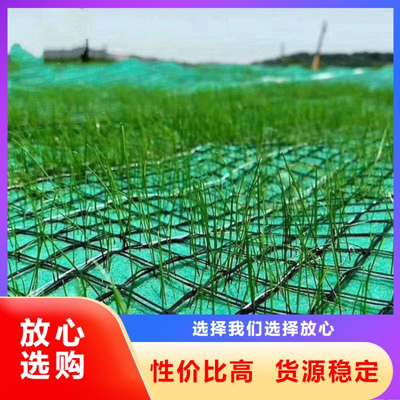 椰絲毯土工格柵現(xiàn)貨供應