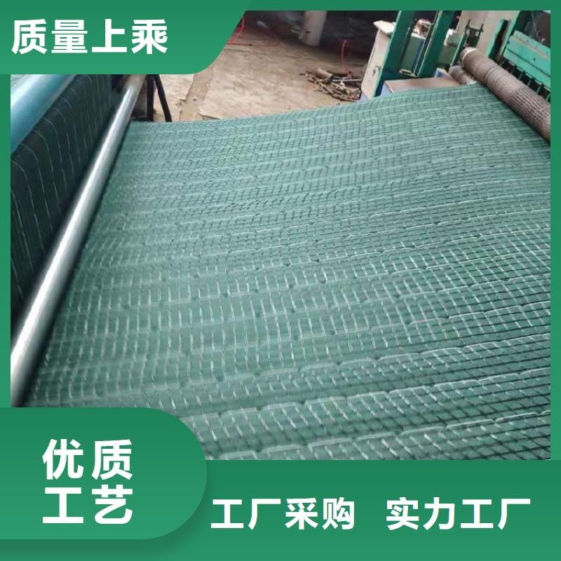 椰絲毯土工格柵現(xiàn)貨供應