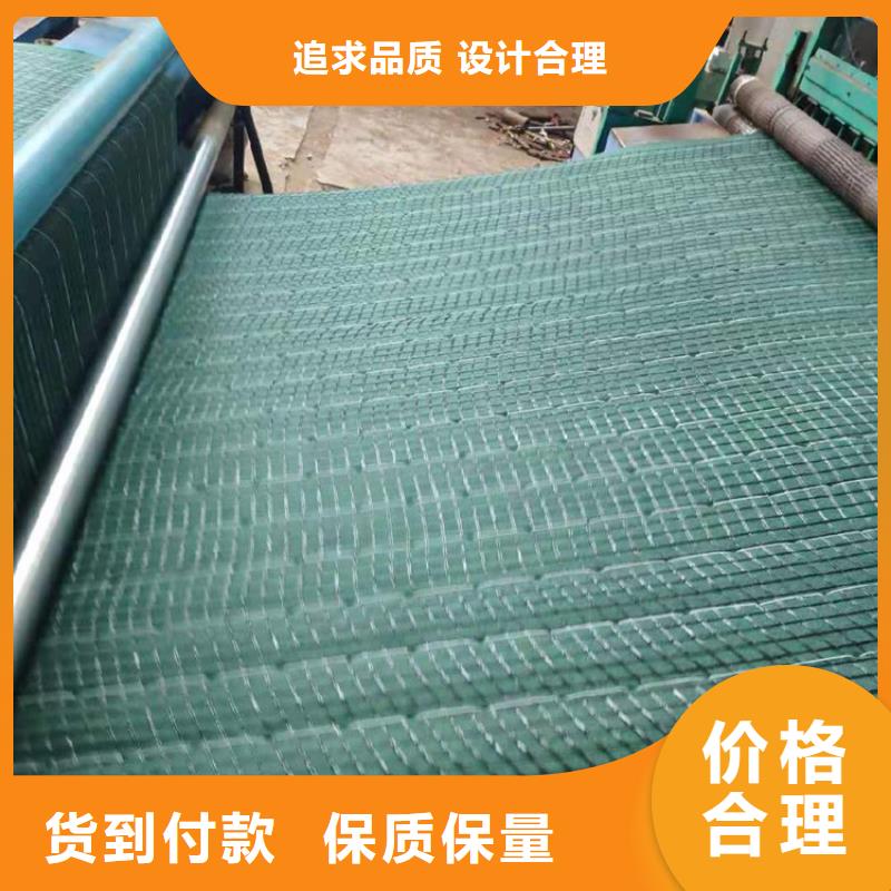 椰絲毯-【防滲膜】專業(yè)生產(chǎn)品質(zhì)保證