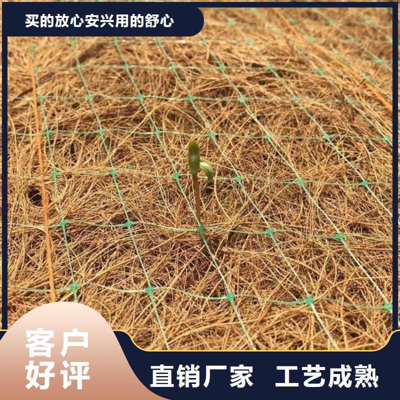 椰絲毯土工格柵現(xiàn)貨供應