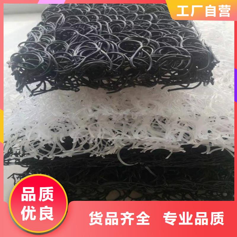 土工席墊復(fù)合土工膜生產(chǎn)經(jīng)驗豐富