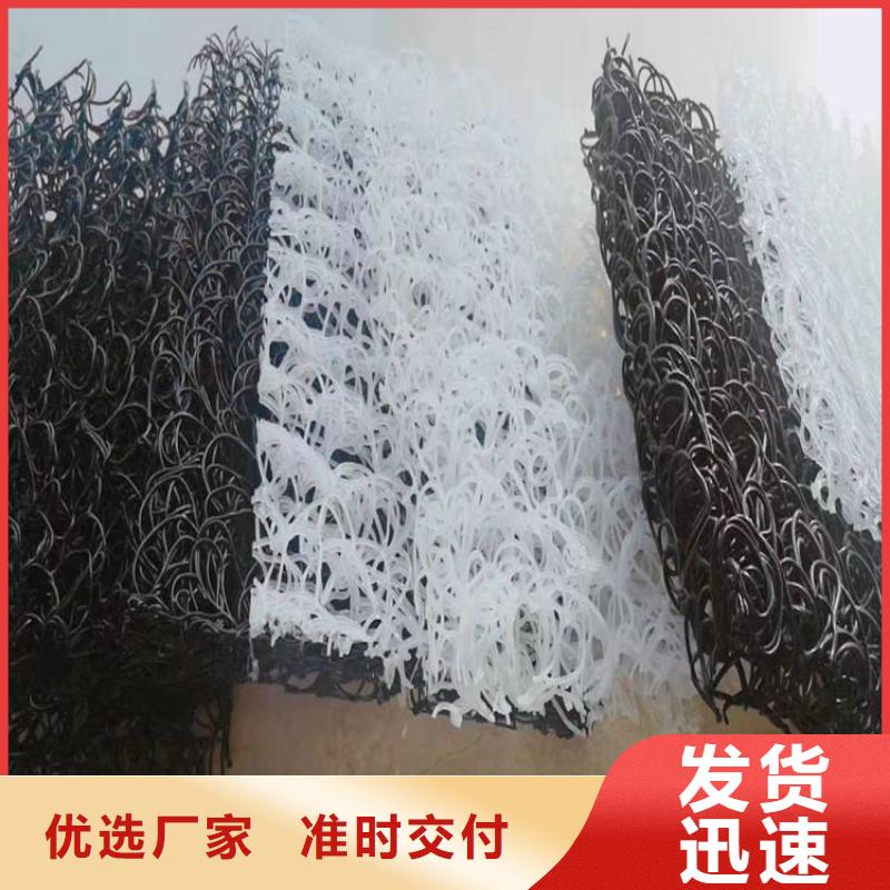 土工席垫HDPE土工膜现货满足大量采购