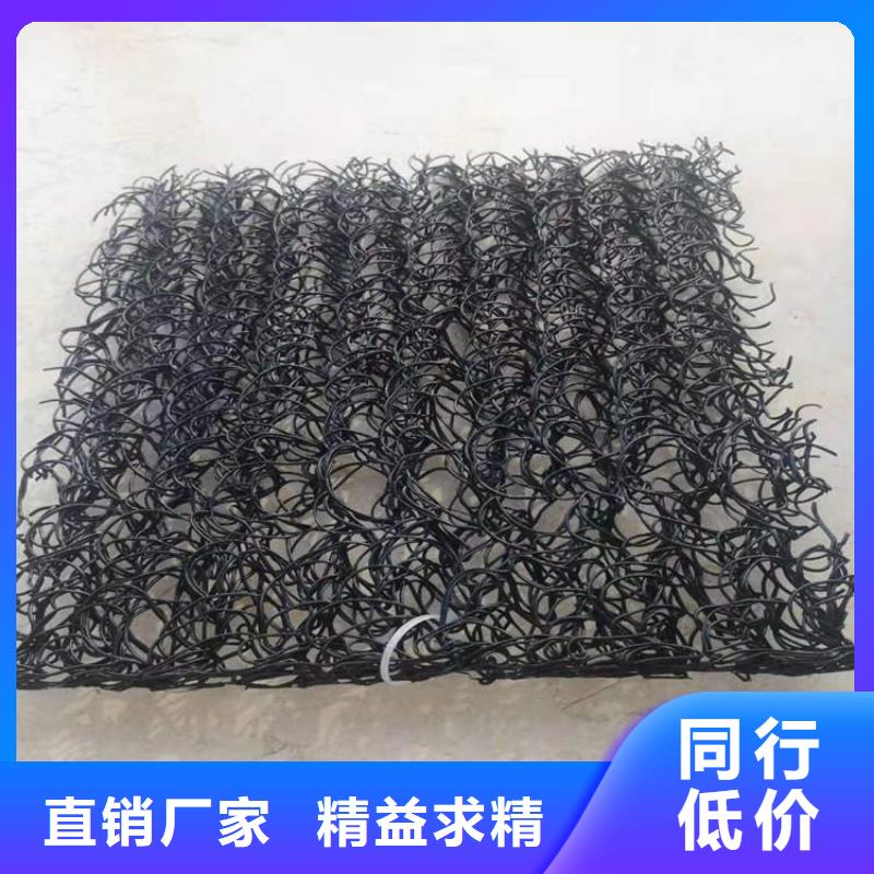 4050高滲排水網(wǎng)墊