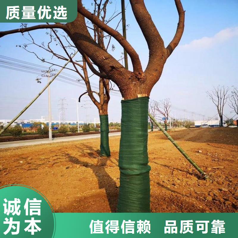 裹樹布,生態(tài)袋放心購