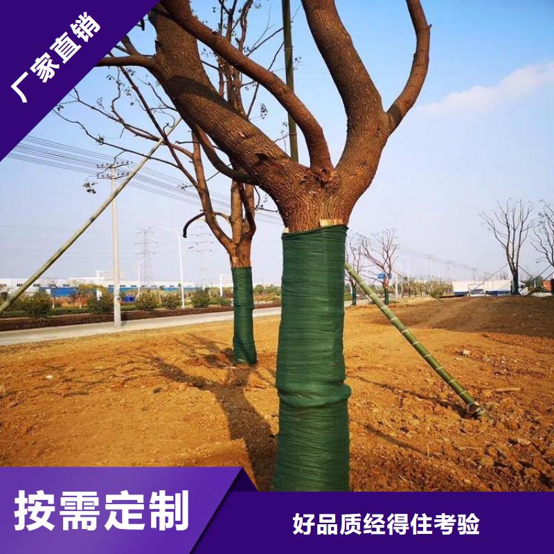裹樹布-防滲膜有實力有經(jīng)驗