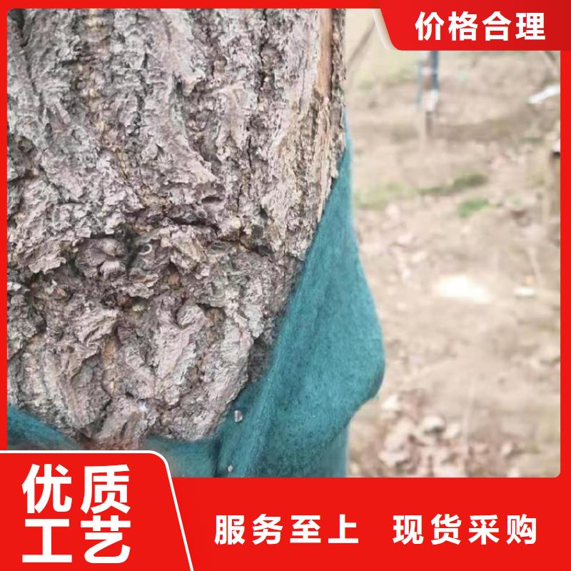 裹樹布,生態(tài)袋放心購