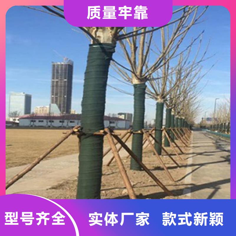 裹樹布軟式透水管甄選好廠家