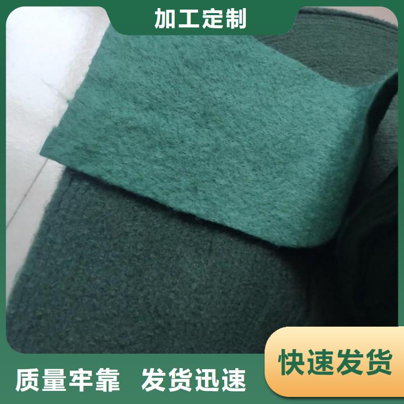 裹树布-防渗膜有实力有经验