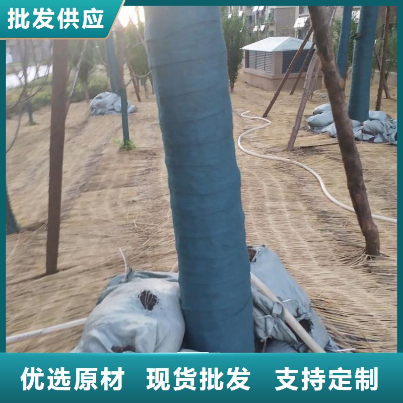 裹樹布,生態(tài)袋放心購