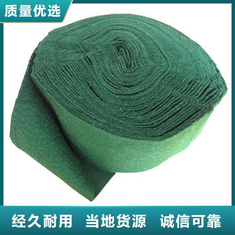 裹树布-防渗膜有实力有经验