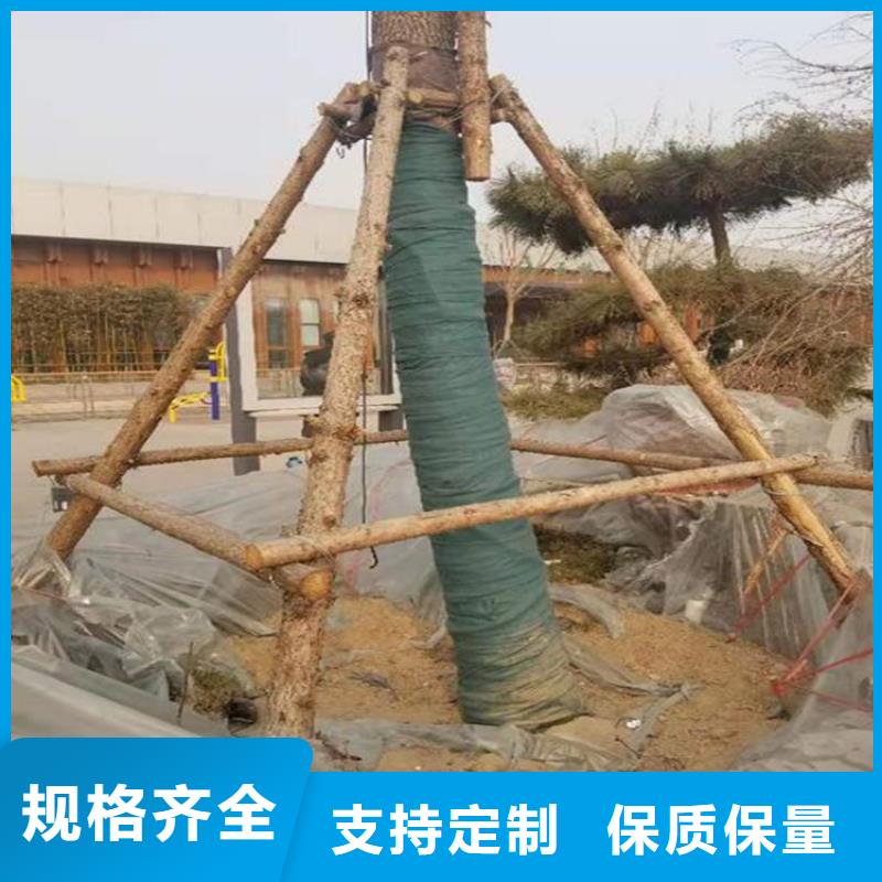 裹樹布,生態(tài)袋放心購(gòu)