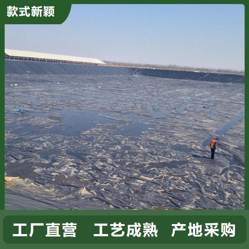 土工膜专注生产制造多年