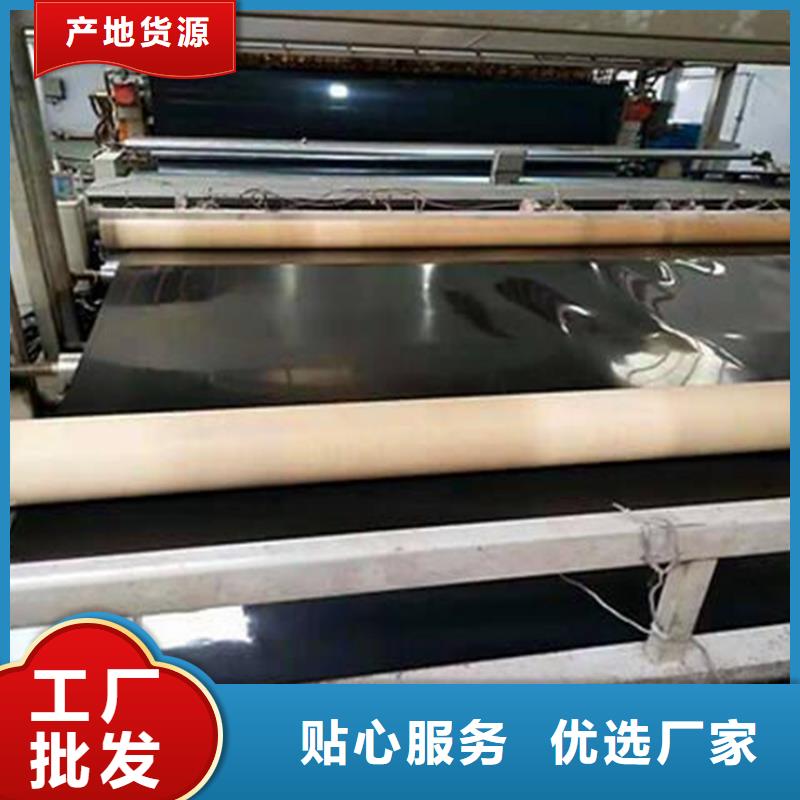 土工膜【钢塑土工格栅】应用领域