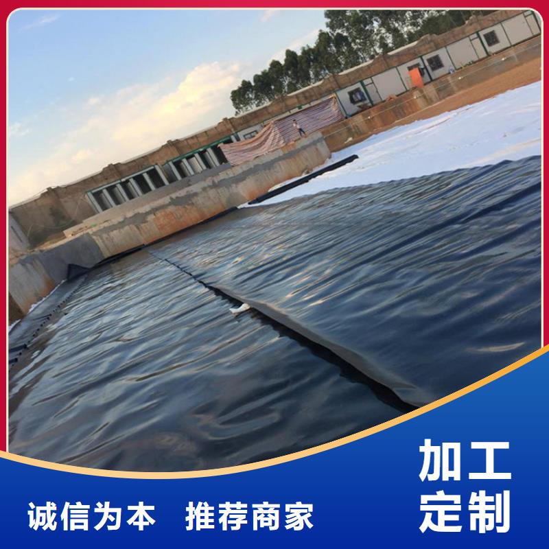 土工膜【钢塑土工格栅】应用领域