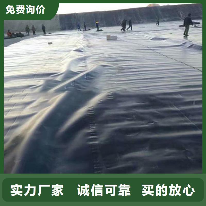 土工膜土工格室口碑好實力強