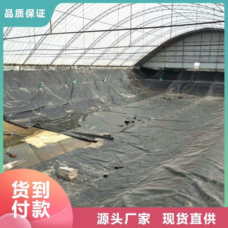 土工膜土工格室口碑好實力強