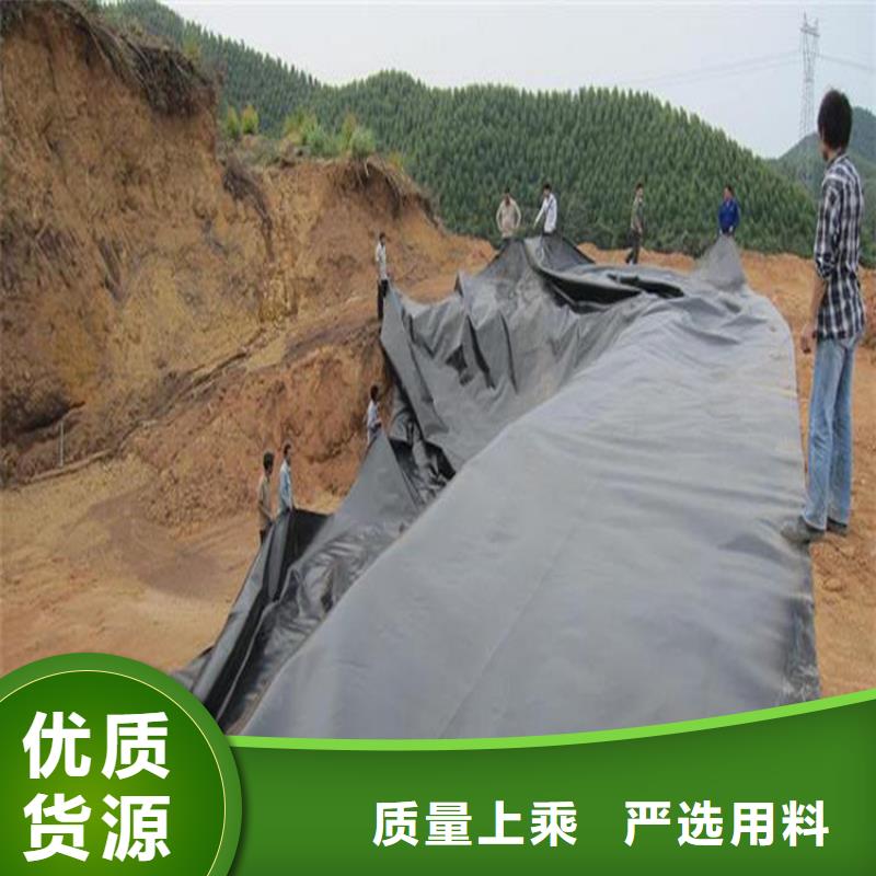 土工膜膨润土防水毯支持大批量采购