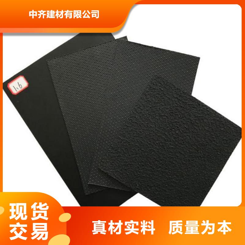 土工膜-聚酯布源頭廠家來(lái)圖定制