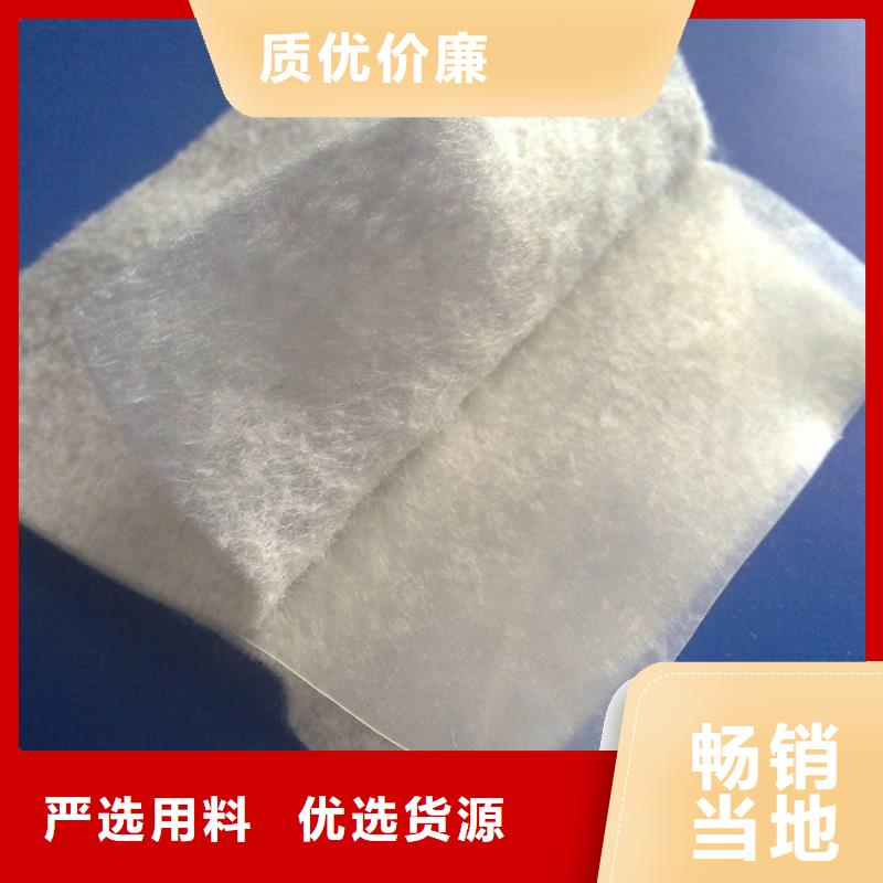 土工布土工膜24小时下单发货