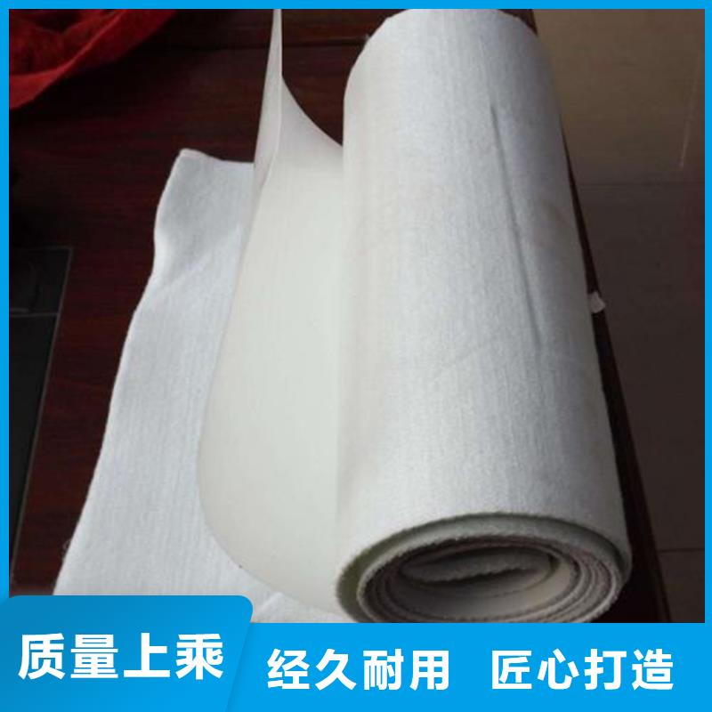 土工布土工膜24小時(shí)下單發(fā)貨