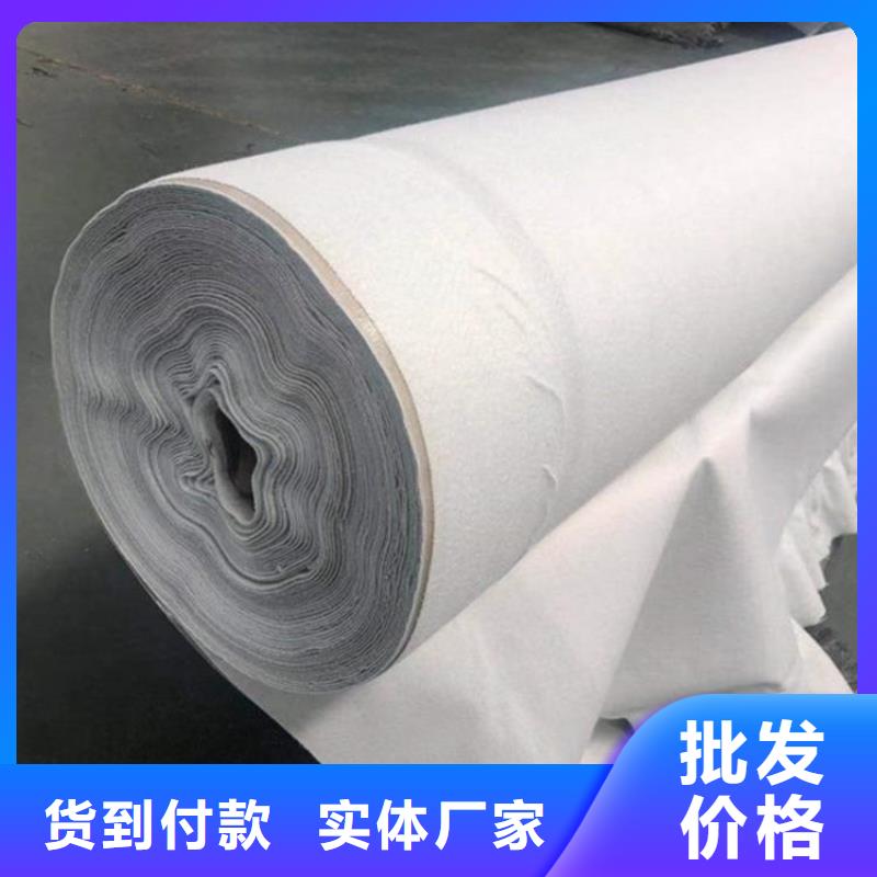 土工布土工膜24小時(shí)下單發(fā)貨