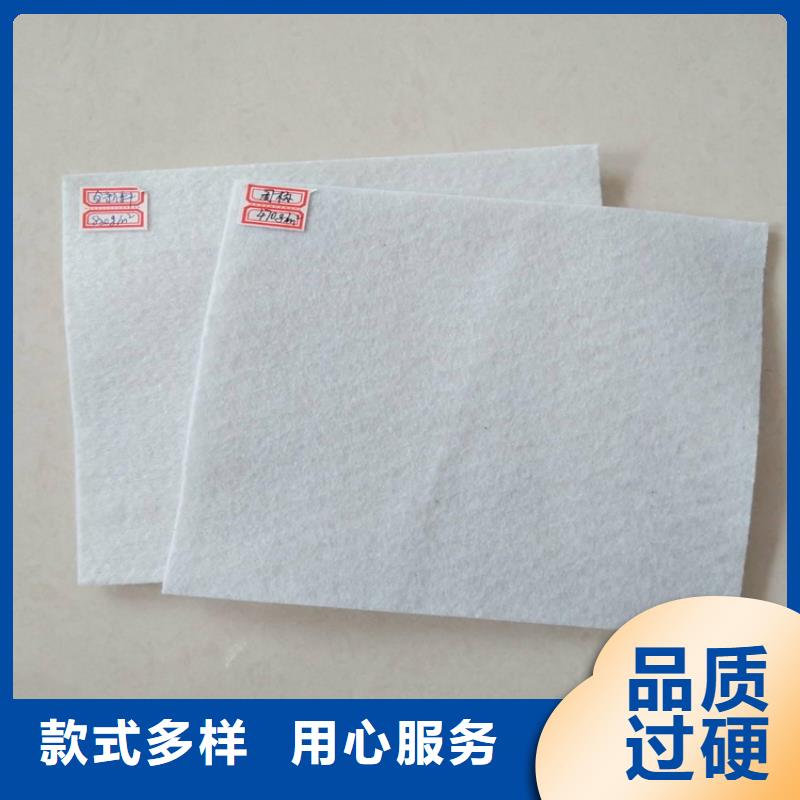 土工布土工膜24小時(shí)下單發(fā)貨