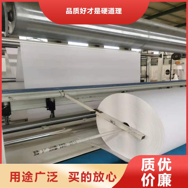 土工布土工膜24小時(shí)下單發(fā)貨