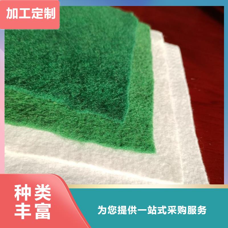 土工布_防滲膜客戶滿意度高
