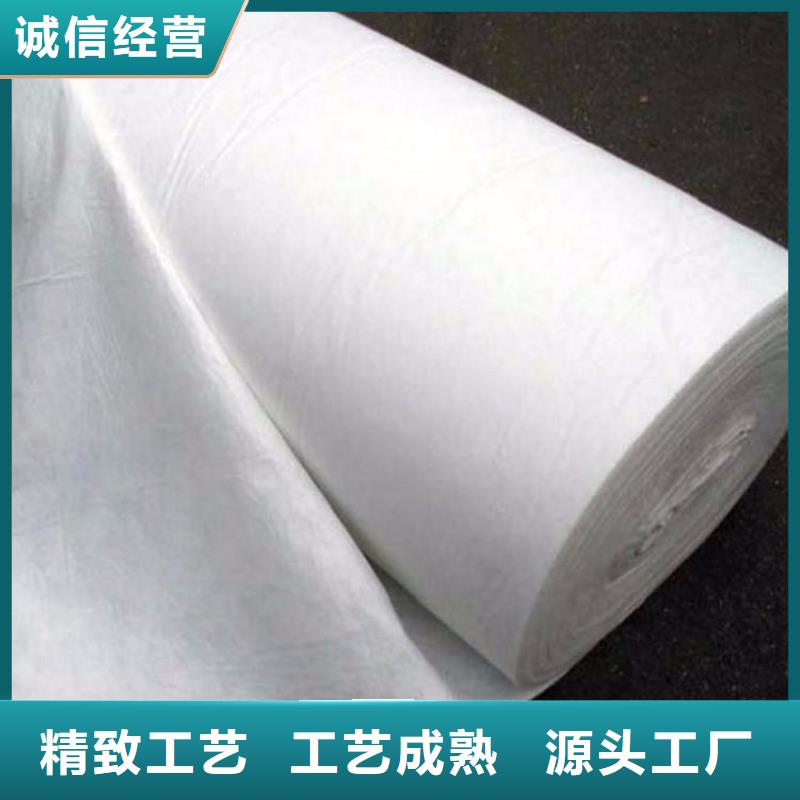 土工布土工膜24小時(shí)下單發(fā)貨