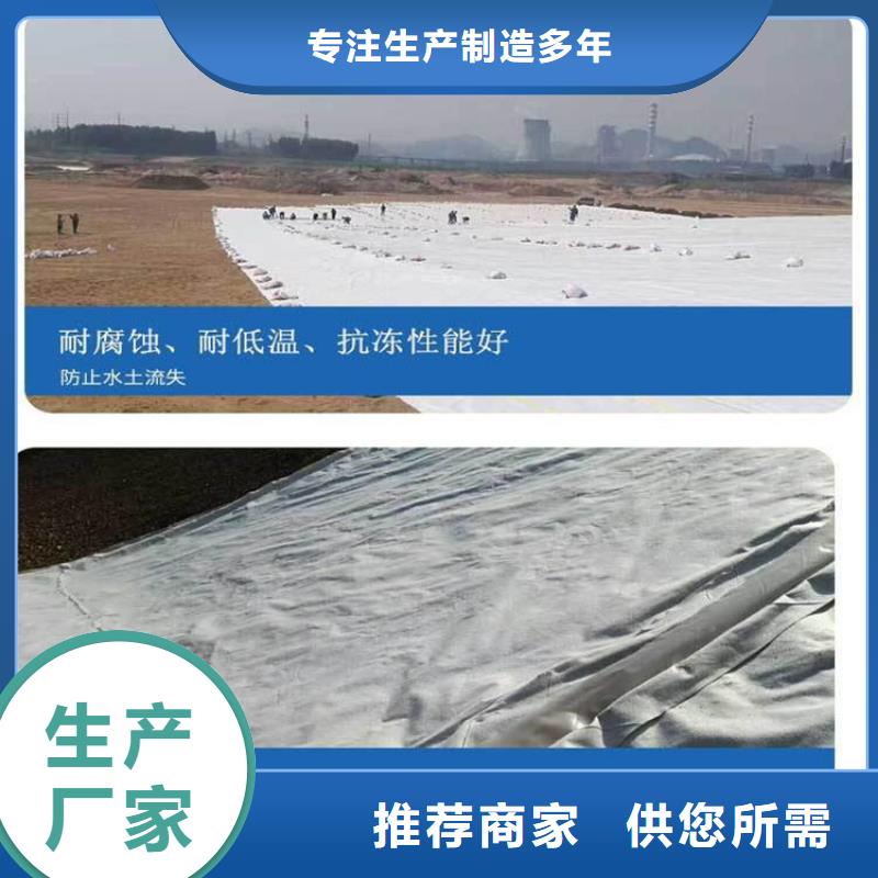 土工布土工格室廠家實(shí)力雄厚
