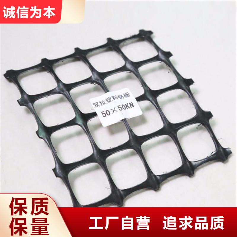玻纖PE土工格柵