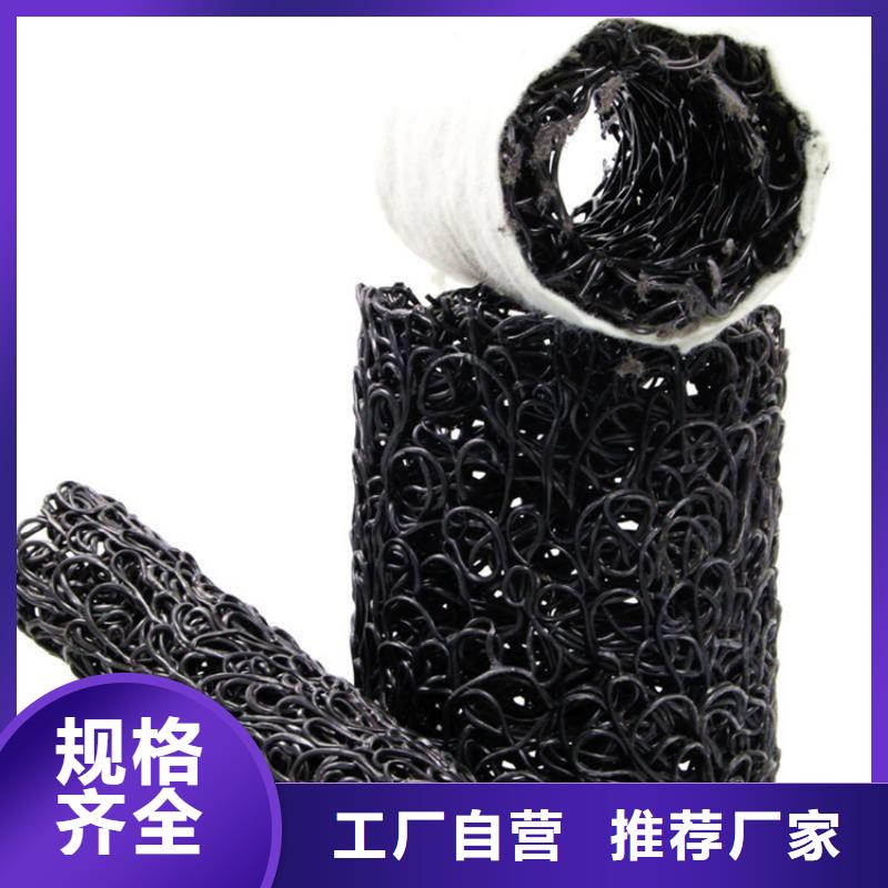 塑料盲沟拉筋带好品质选我们