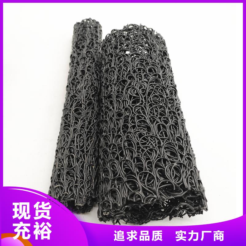 塑料盲溝玻璃纖維土工格柵免費(fèi)寄樣