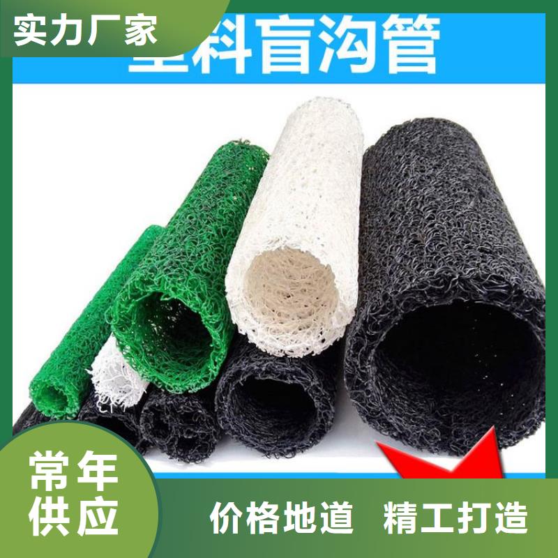 塑料盲溝,三維植被網(wǎng)貨品齊全