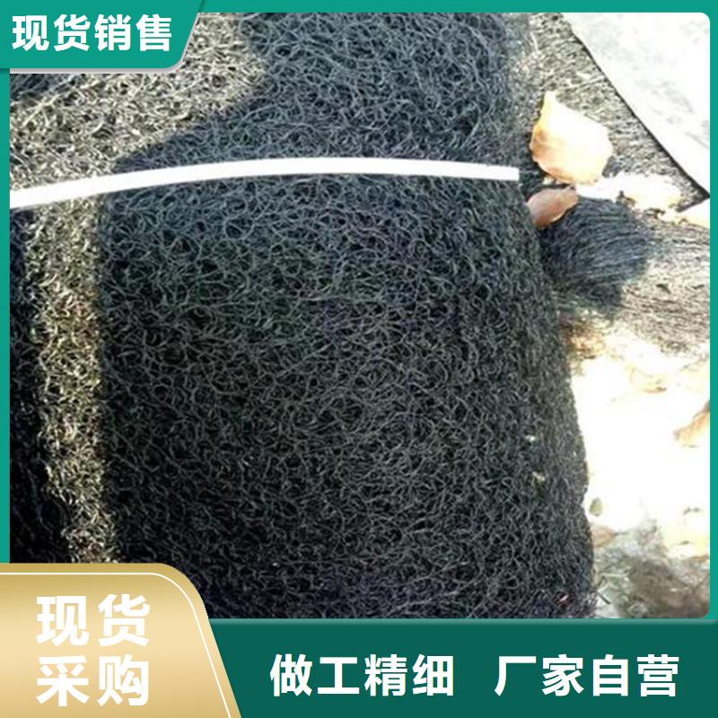 通风降噪丝网塑料土工格栅诚信商家