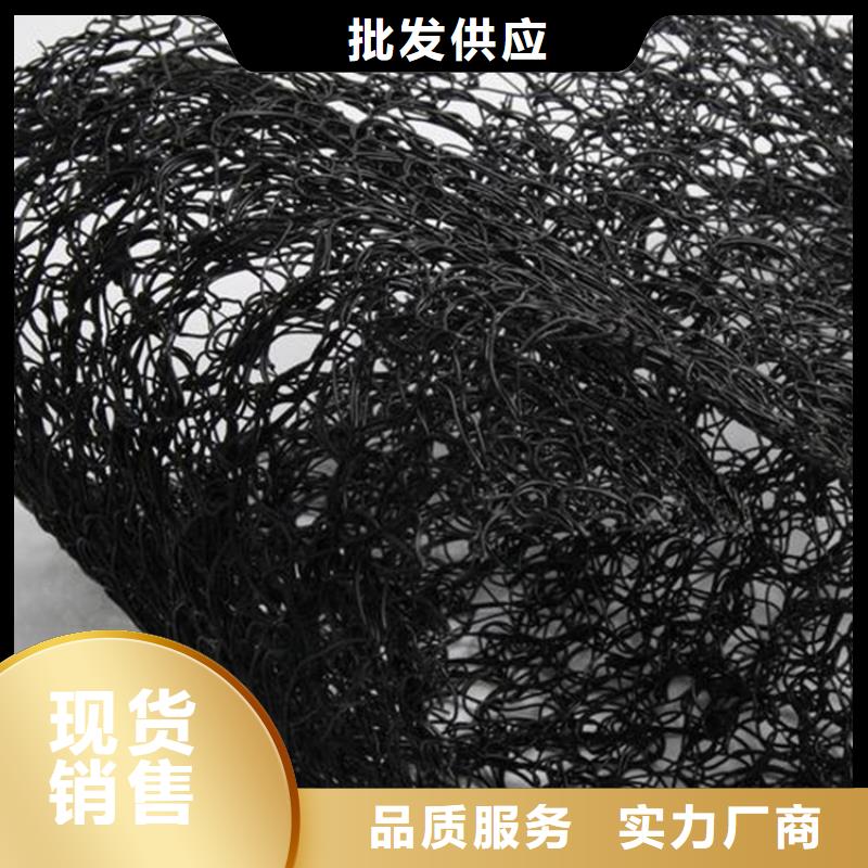 通風(fēng)降噪絲網(wǎng)_HDPE土工膜自有廠家