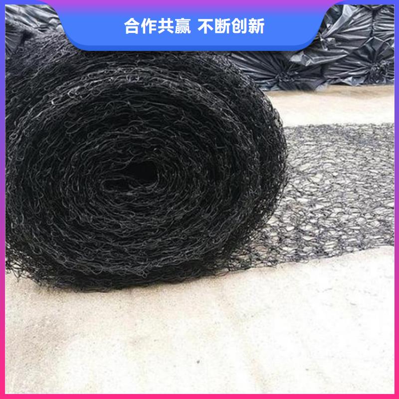 通風(fēng)降噪絲網(wǎng)土工網(wǎng)用的放心