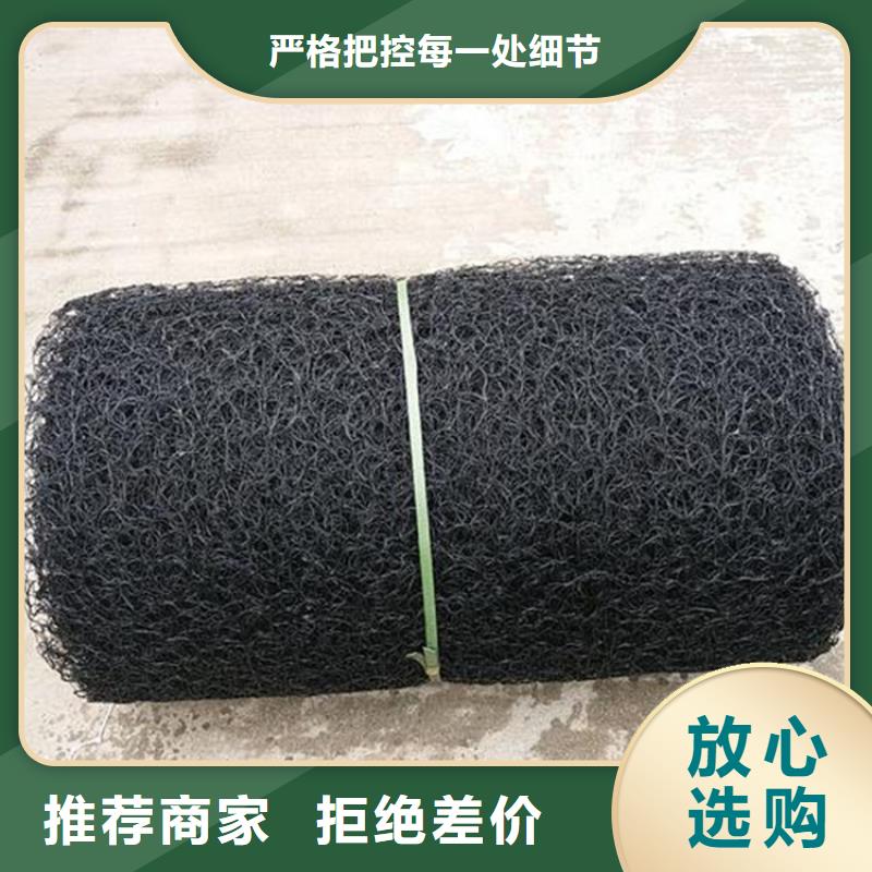 通风降噪丝网塑料土工格栅诚信商家