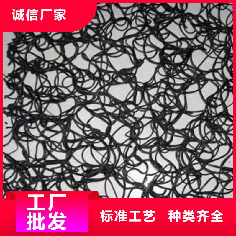 通風(fēng)降噪絲網(wǎng)土工網(wǎng)用的放心