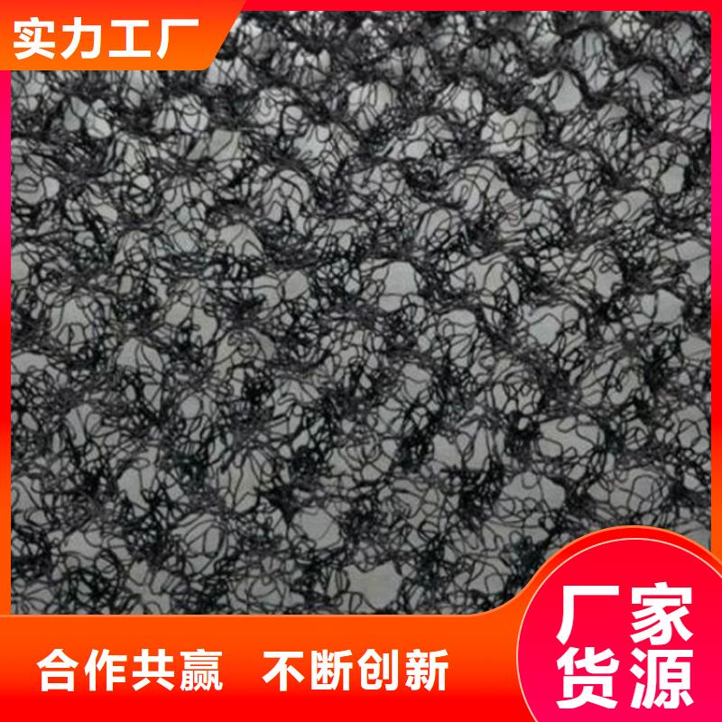 水土保护毯透水管实力工厂