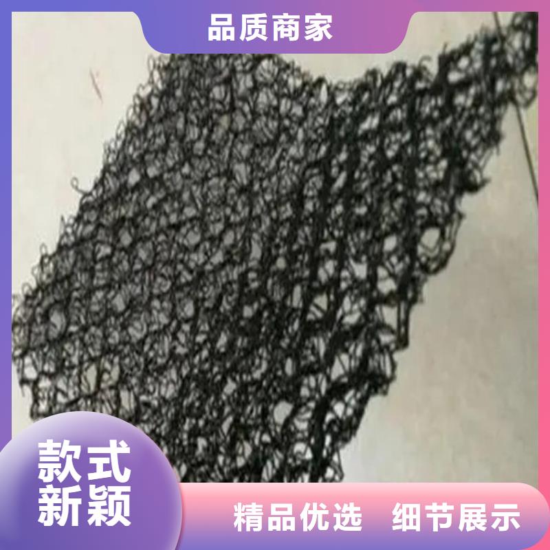 水土保護(hù)毯塑料土工格柵廠家定制