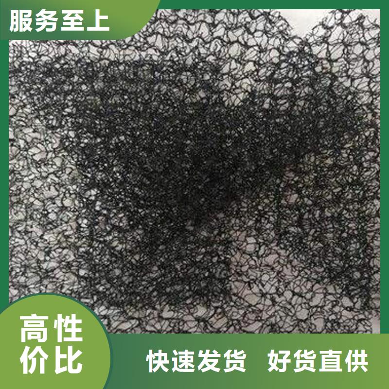 水土保護(hù)毯塑料土工格柵廠家定制
