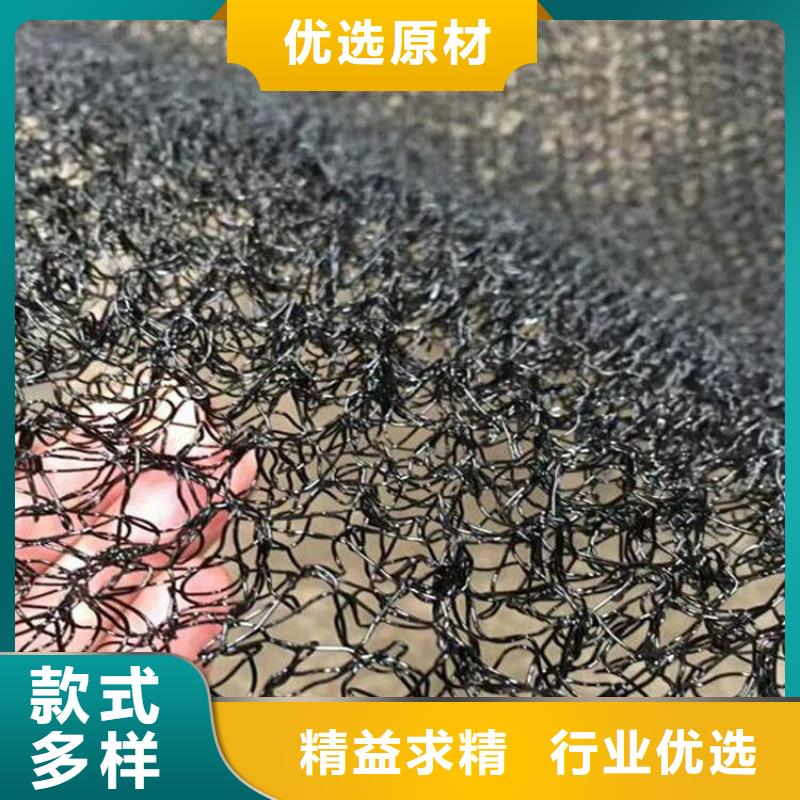 水土保護(hù)毯,生態(tài)帶廠家