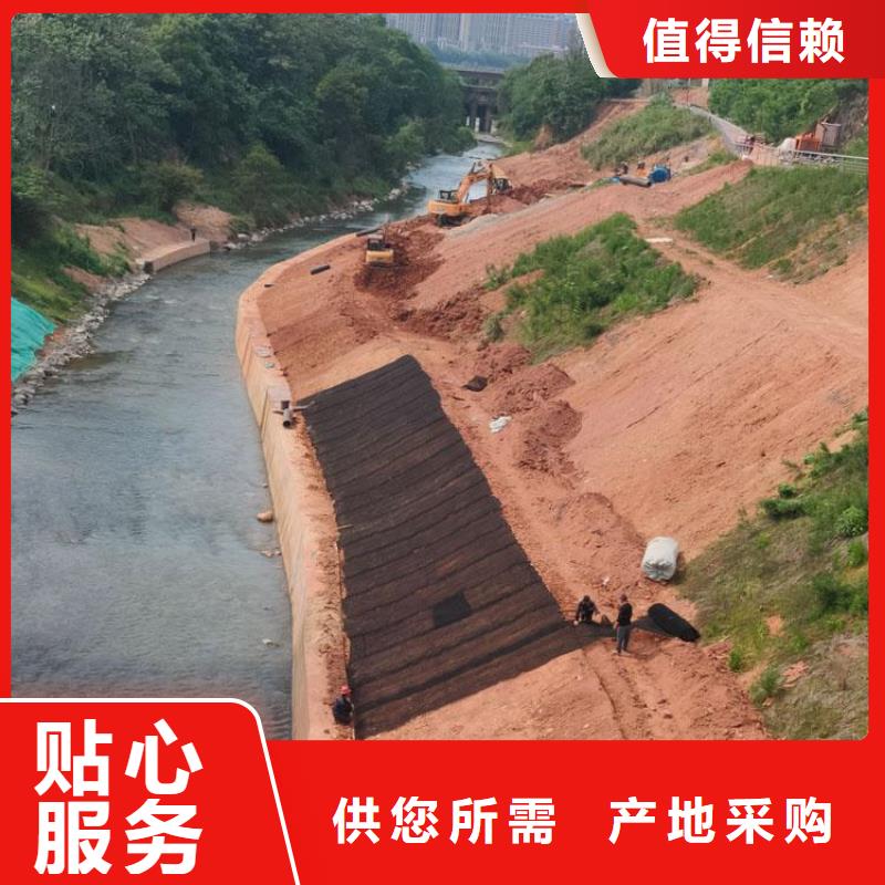 生態(tài)水土保護毯
