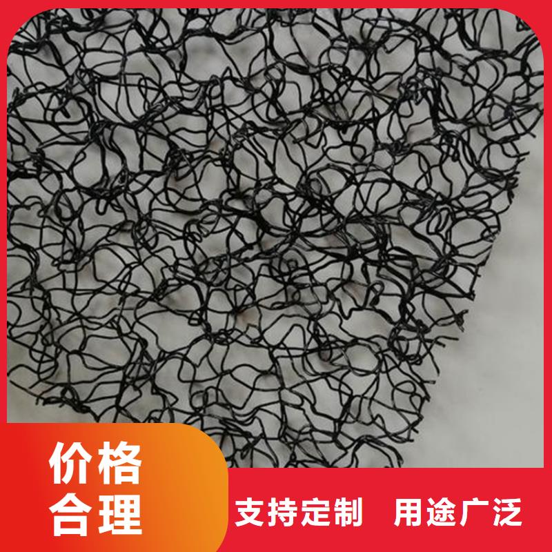 水土保護(hù)毯拉筋帶廠家自營(yíng)