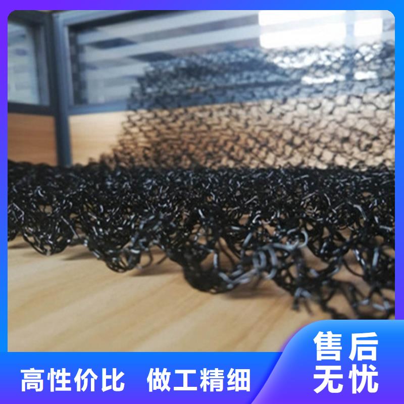 水土保護(hù)毯拉筋帶廠家自營(yíng)